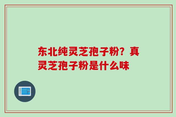 东北纯灵芝孢子粉？真灵芝孢子粉是什么味