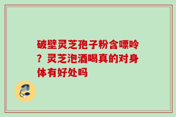 破壁灵芝孢子粉含嘌呤？灵芝泡酒喝真的对身体有好处吗
