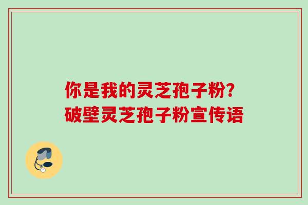 你是我的灵芝孢子粉？破壁灵芝孢子粉宣传语