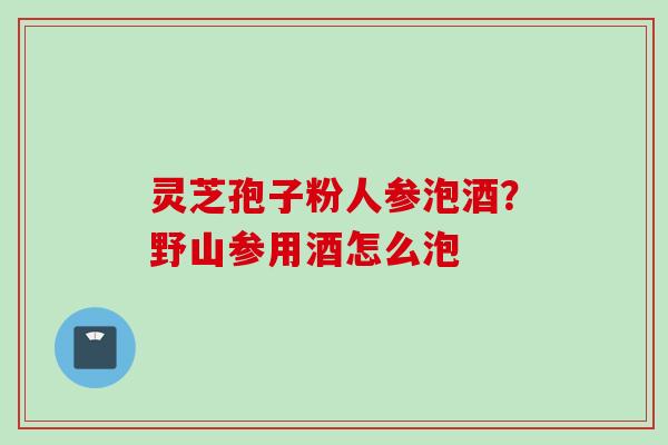 灵芝孢子粉人参泡酒？野山参用酒怎么泡