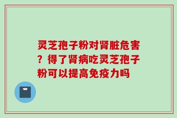 灵芝孢子粉对肾脏危害？得了肾病吃灵芝孢子粉可以提高免疫力吗
