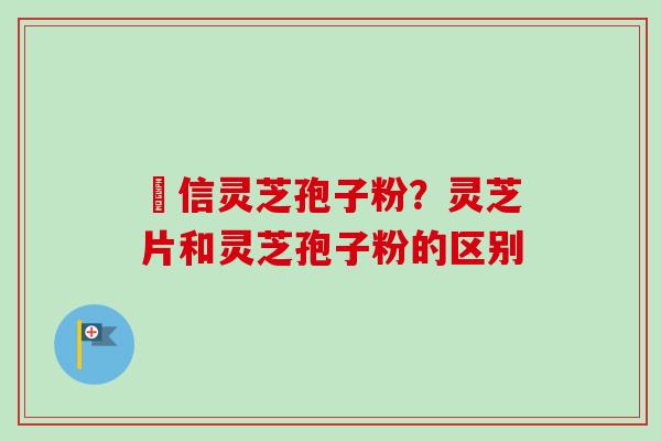 瑧信灵芝孢子粉？灵芝片和灵芝孢子粉的区别