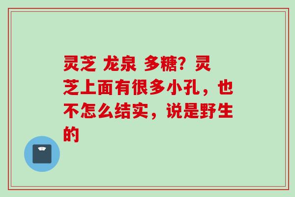 灵芝 龙泉 多糖？灵芝上面有很多小孔，也不怎么结实，说是野生的