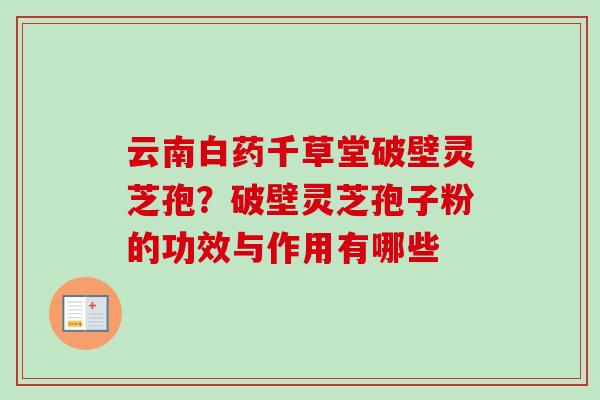 云南白药千草堂破壁灵芝孢？破壁灵芝孢子粉的功效与作用有哪些