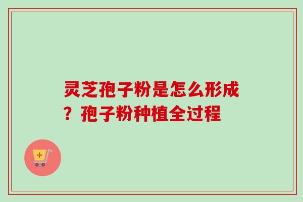 灵芝孢子粉是怎么形成？孢子粉种植全过程