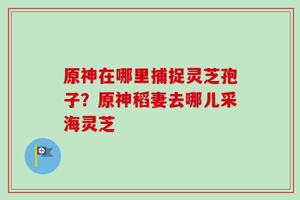 原神在哪里捕捉灵芝孢子？原神稻妻去哪儿采海灵芝