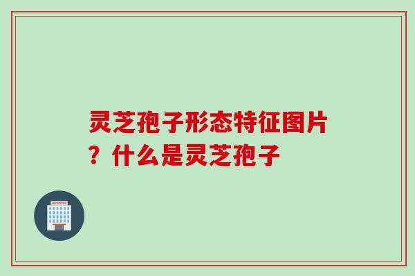 灵芝孢子形态特征图片？什么是灵芝孢子