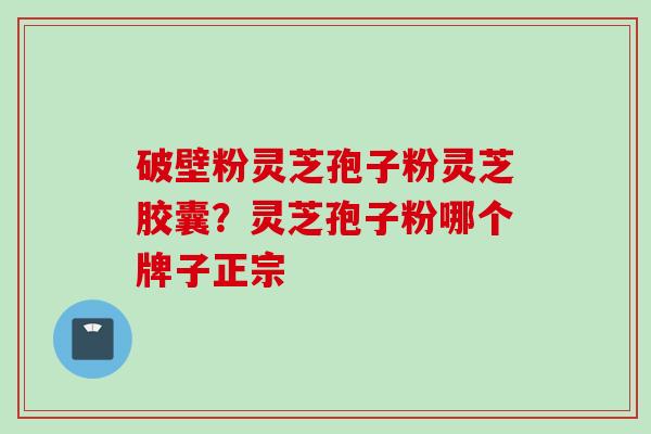 破壁粉灵芝孢子粉灵芝胶囊？灵芝孢子粉哪个牌子正宗