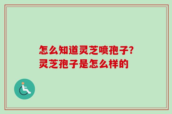 怎么知道灵芝喷孢子？灵芝孢子是怎么样的