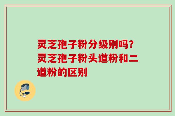 灵芝孢子粉分级别吗？灵芝孢子粉头道粉和二道粉的区别