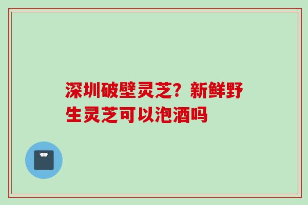 深圳破壁灵芝？新鲜野生灵芝可以泡酒吗