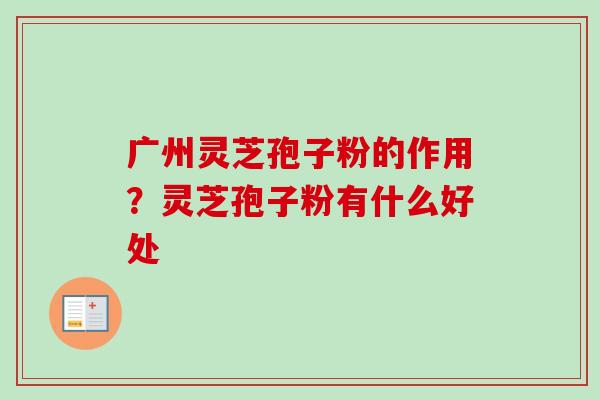 广州灵芝孢子粉的作用？灵芝孢子粉有什么好处