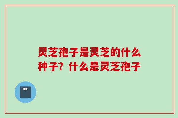 灵芝孢子是灵芝的什么种子？什么是灵芝孢子