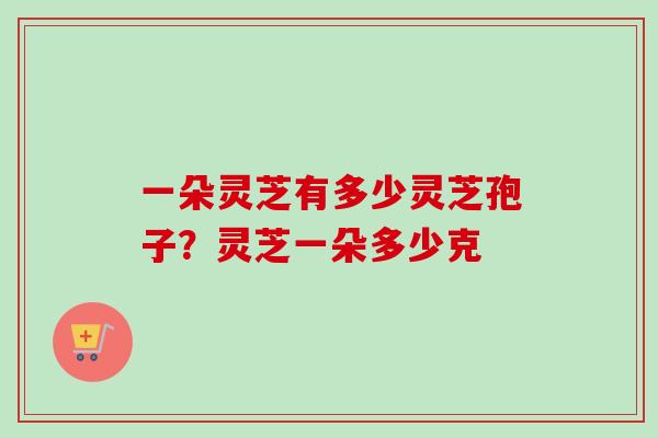 一朵灵芝有多少灵芝孢子？灵芝一朵多少克