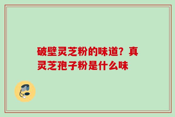 破壁灵芝粉的味道？真灵芝孢子粉是什么味