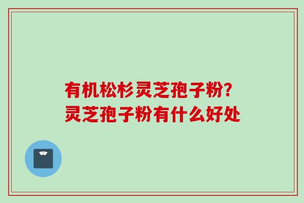 有机松杉灵芝孢子粉？灵芝孢子粉有什么好处