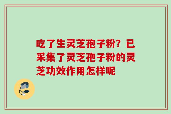 吃了生灵芝孢子粉？已采集了灵芝孢子粉的灵芝功效作用怎样呢