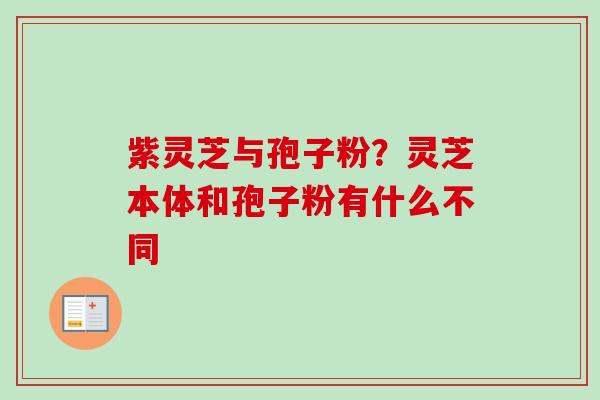 紫灵芝与孢子粉？灵芝本体和孢子粉有什么不同