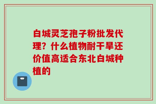 白城灵芝孢子粉批发代理？什么植物耐干旱还价值高适合东北白城种植的