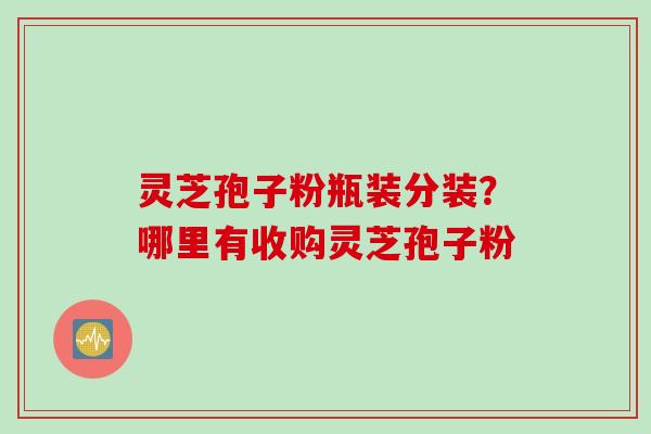 灵芝孢子粉瓶装分装？哪里有收购灵芝孢子粉