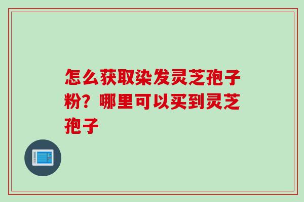 怎么获取染发灵芝孢子粉？哪里可以买到灵芝孢子