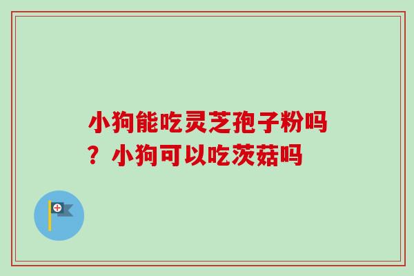 小狗能吃灵芝孢子粉吗？小狗可以吃茨菇吗