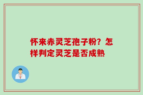 怀来赤灵芝孢子粉？怎样判定灵芝是否成熟
