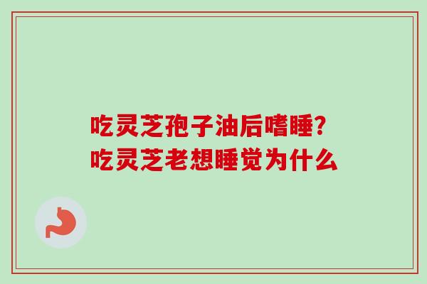 吃灵芝孢子油后嗜睡？吃灵芝老想睡觉为什么