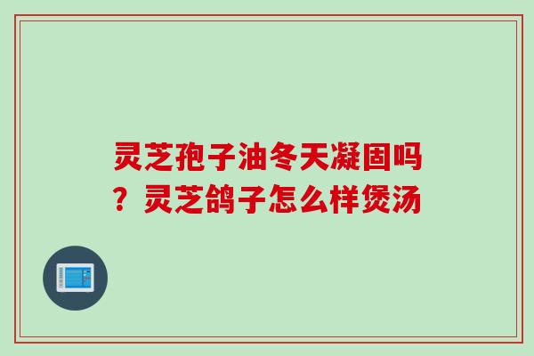 灵芝孢子油冬天凝固吗？灵芝鸽子怎么样煲汤
