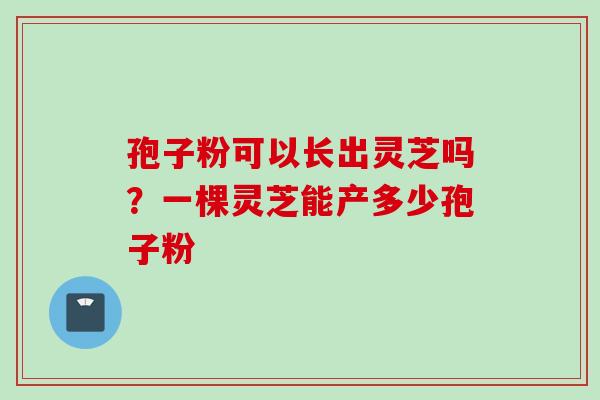 孢子粉可以长出灵芝吗？一棵灵芝能产多少孢子粉