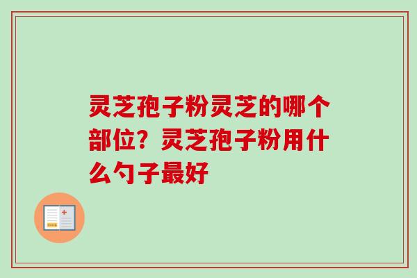 灵芝孢子粉灵芝的哪个部位？灵芝孢子粉用什么勺子最好