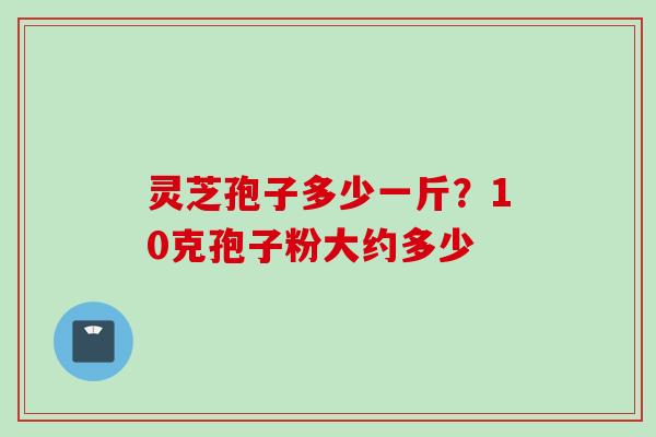 灵芝孢子多少一斤？10克孢子粉大约多少