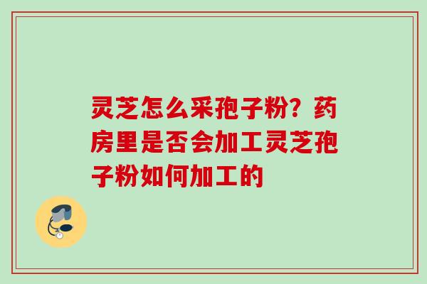 灵芝怎么采孢子粉？药房里是否会加工灵芝孢子粉如何加工的