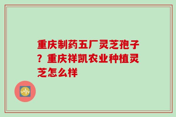 重庆制药五厂灵芝孢子？重庆祥凯农业种植灵芝怎么样