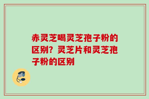赤灵芝喝灵芝孢子粉的区别？灵芝片和灵芝孢子粉的区别