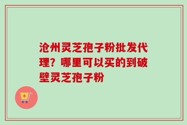 沧州灵芝孢子粉批发代理？哪里可以买的到破壁灵芝孢子粉
