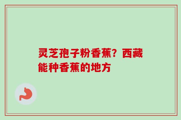 灵芝孢子粉香蕉？西藏能种香蕉的地方