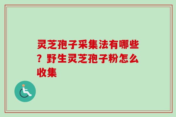 灵芝孢子采集法有哪些？野生灵芝孢子粉怎么收集