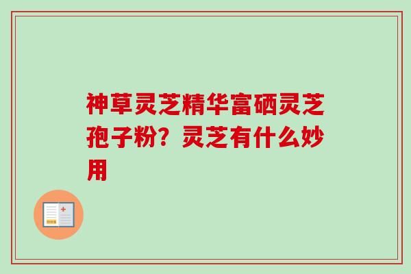 神草灵芝精华富硒灵芝孢子粉？灵芝有什么妙用