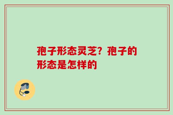 孢子形态灵芝？孢子的形态是怎样的