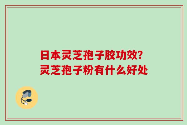日本灵芝孢子胶功效？灵芝孢子粉有什么好处