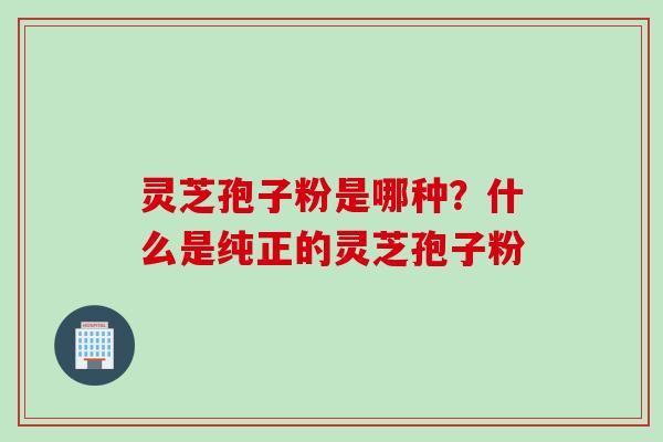 灵芝孢子粉是哪种？什么是纯正的灵芝孢子粉