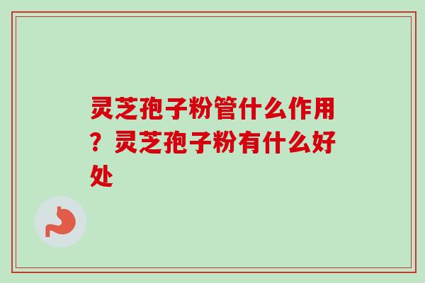 灵芝孢子粉管什么作用?灵芝孢子粉有什么好处 灵芝孢子粉管什么作用?灵芝孢子粉有什么好处
