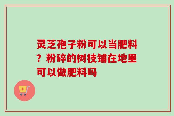 灵芝孢子粉可以当肥料？粉碎的树枝铺在地里可以做肥料吗