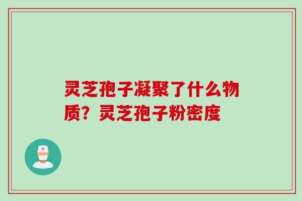 灵芝孢子凝聚了什么物质？灵芝孢子粉密度