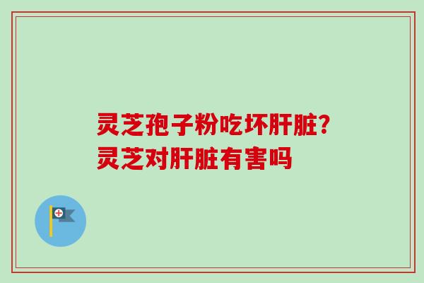 灵芝孢子粉吃坏肝脏？灵芝对肝脏有害吗