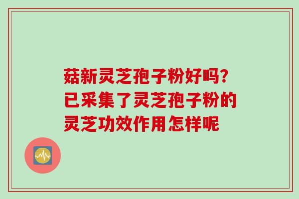 菇新灵芝孢子粉好吗？已采集了灵芝孢子粉的灵芝功效作用怎样呢