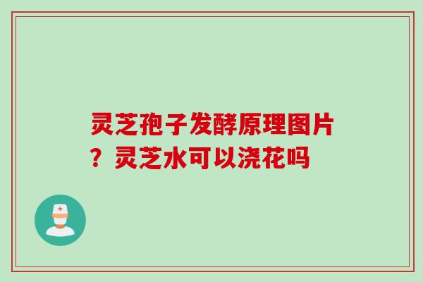灵芝孢子发酵原理图片？灵芝水可以浇花吗