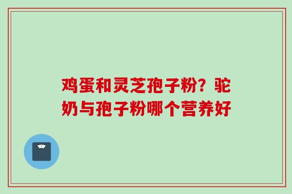 鸡蛋和灵芝孢子粉？驼奶与孢子粉哪个营养好