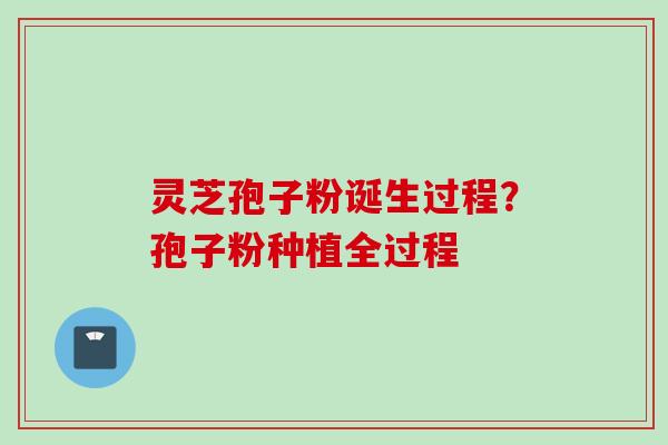 灵芝孢子粉诞生过程？孢子粉种植全过程